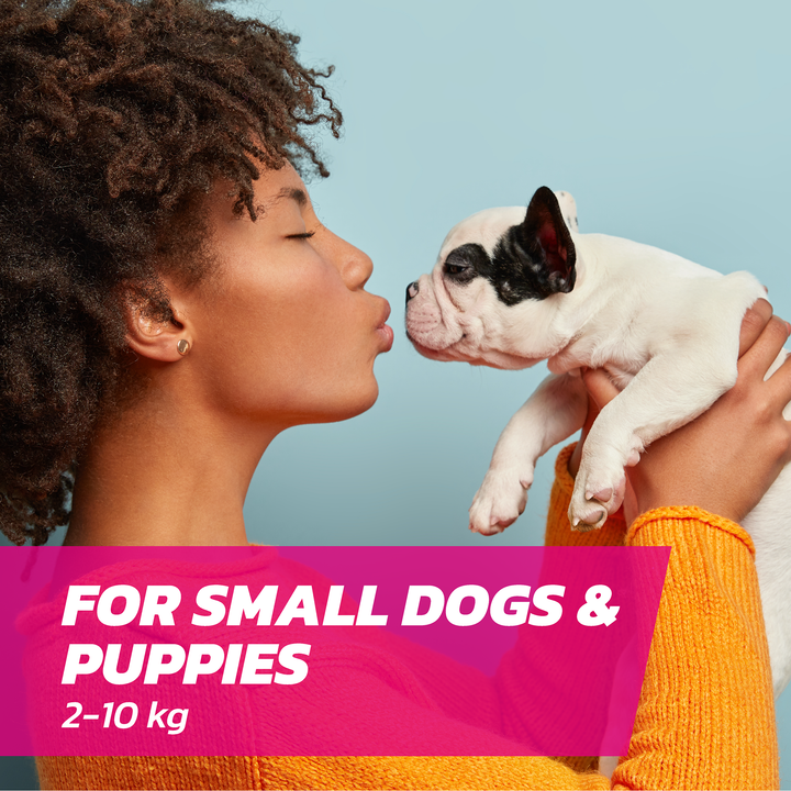 Fleasolve Spot-On Small Dogs
