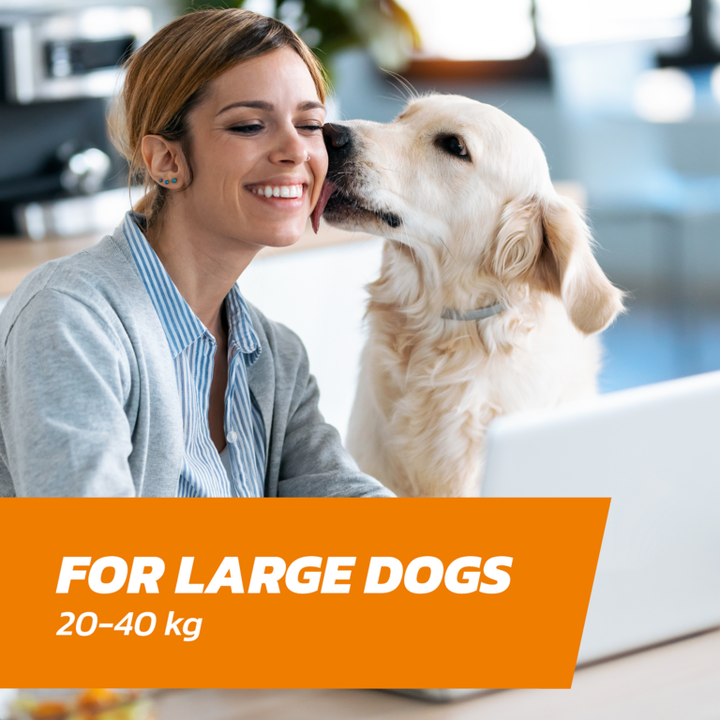 Fleasolve Spot-On Large Dogs