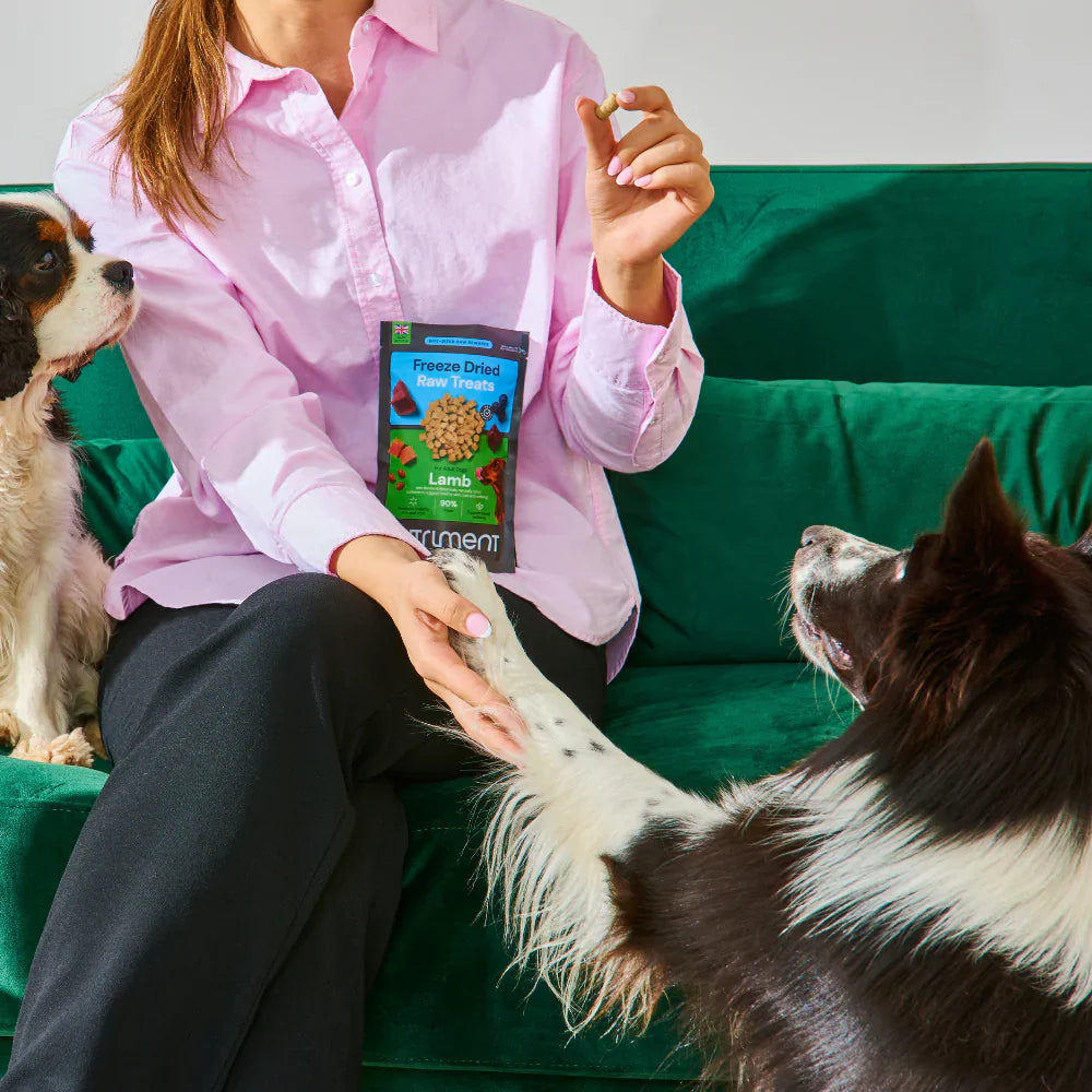 Nutriment Freeze Dried Treats Beef 30g