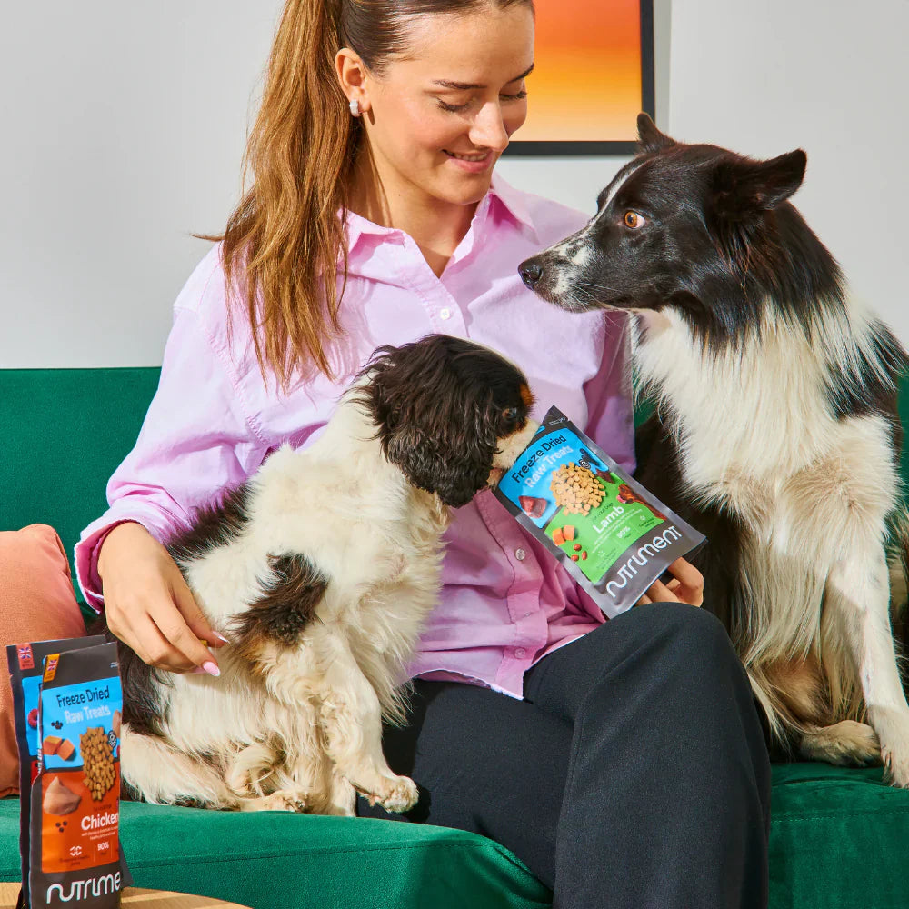 Nutriment Freeze Dried Treats Lamb 30g