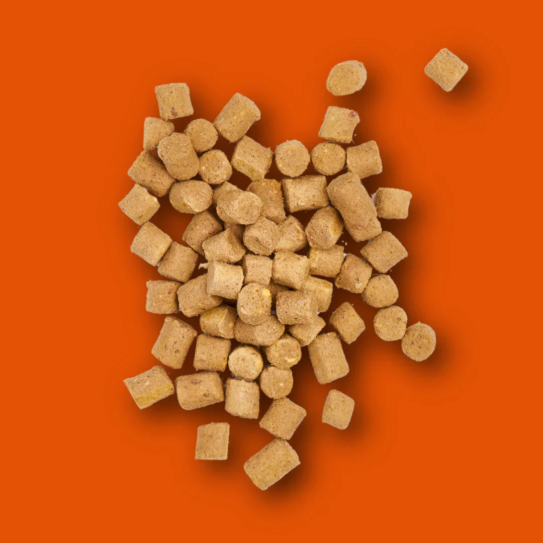 Nutriment Freeze Dried Treats Chicken 30g