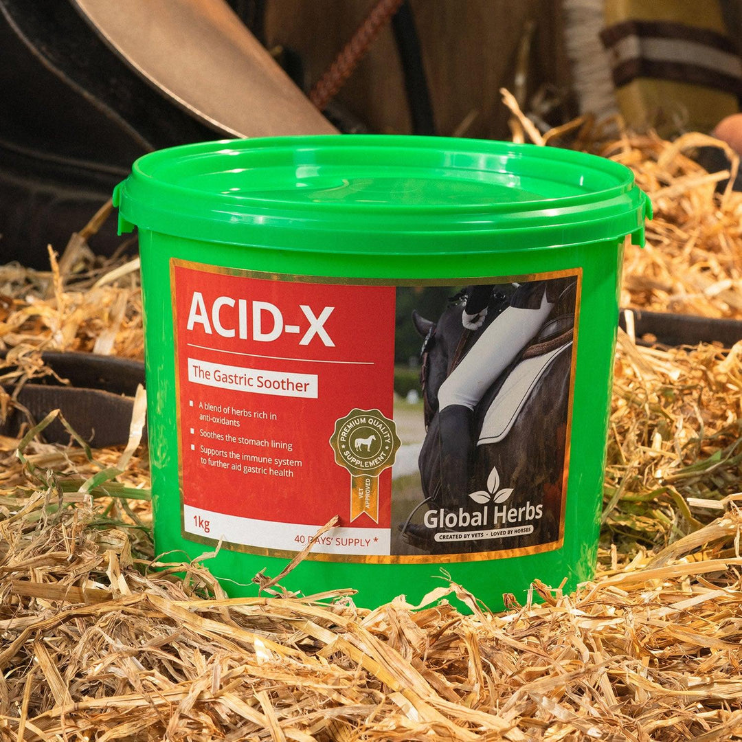 Global Herbs Acid-X 1Kg