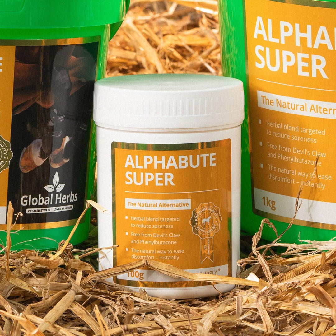 Global Herbs Alphabute Super 100G