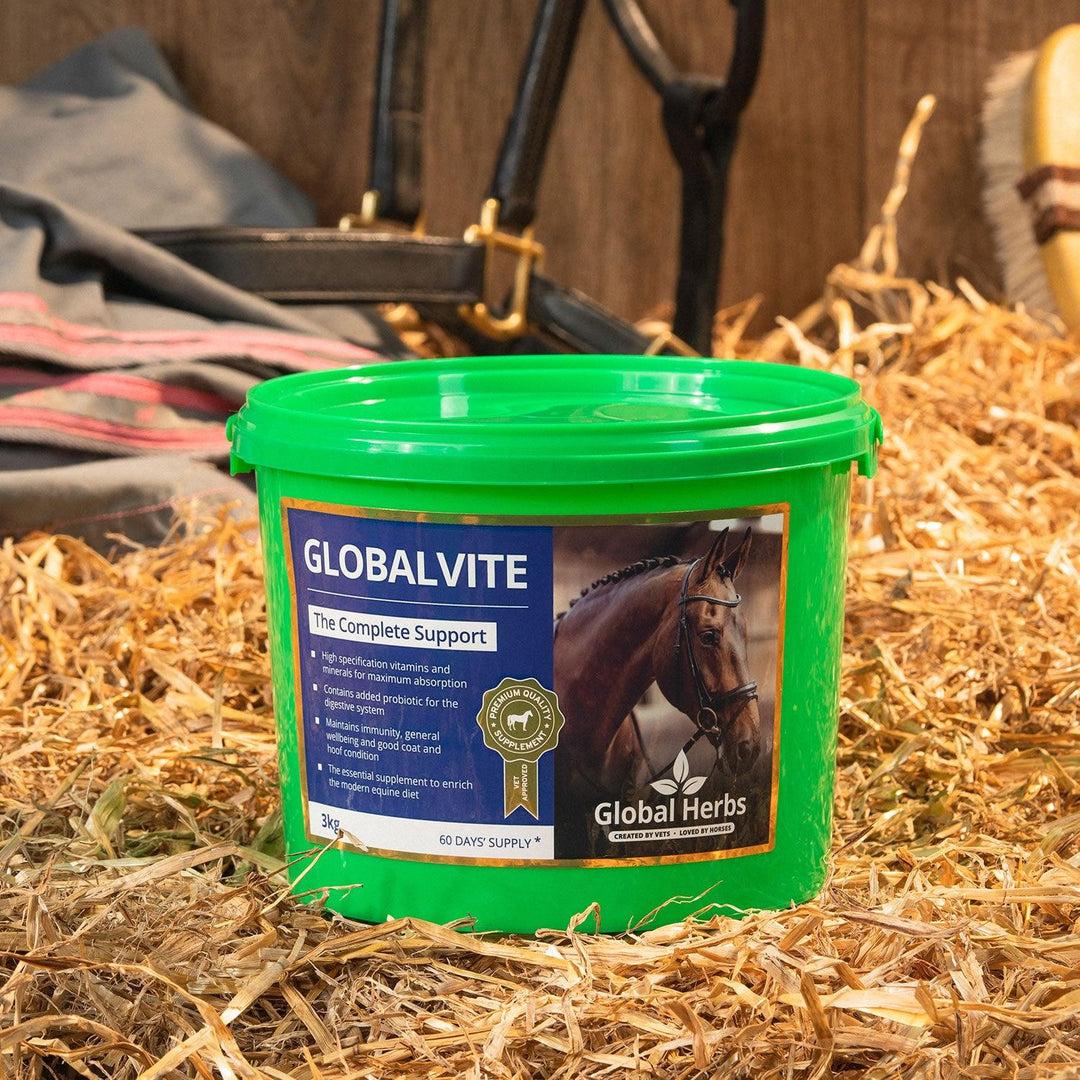 Global Herbs Globalvite 3Kg
