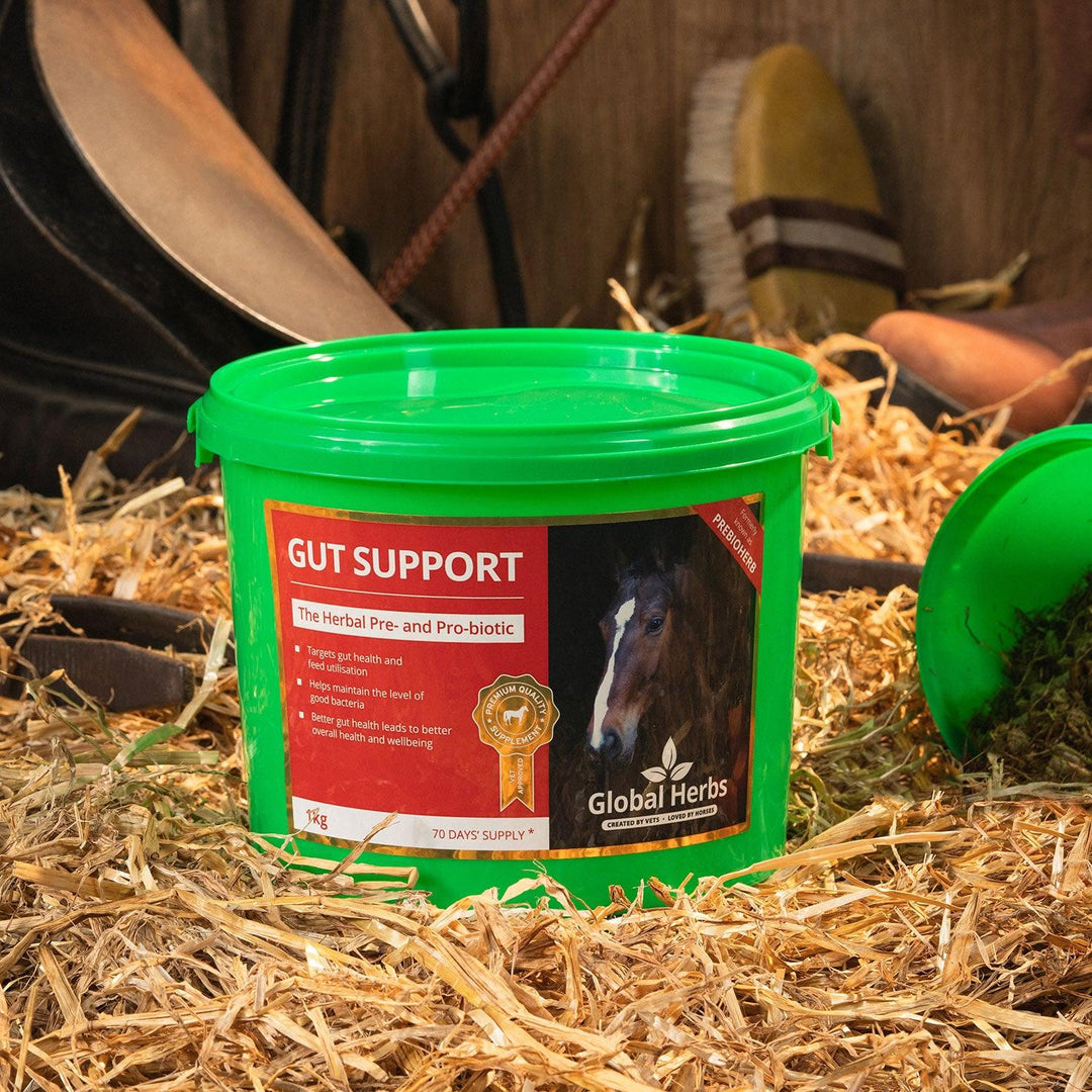 Global Herbs Gut Support 1Kg