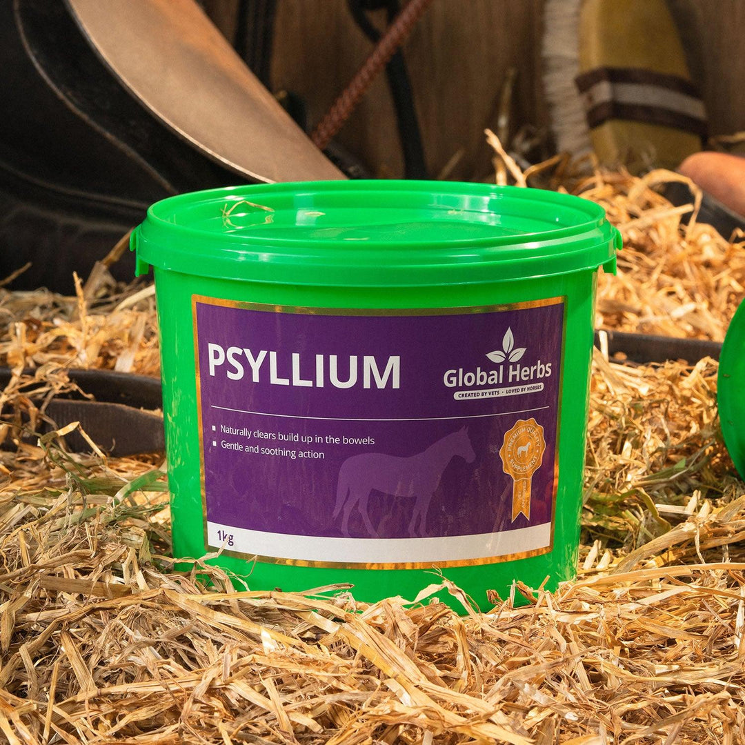 Global Herbs Psyllium 1Kg