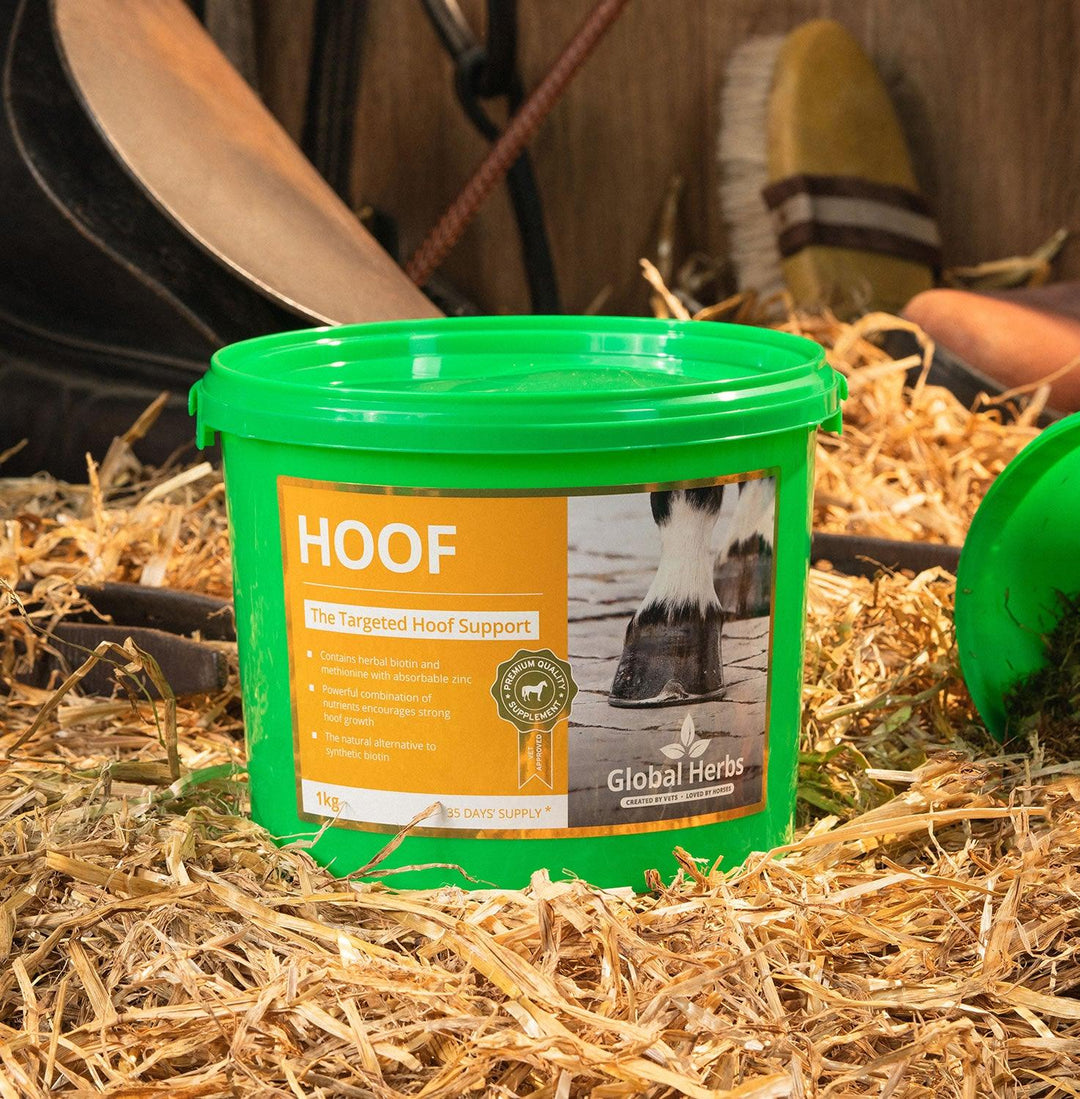Global Herbs Hoof 1Kg