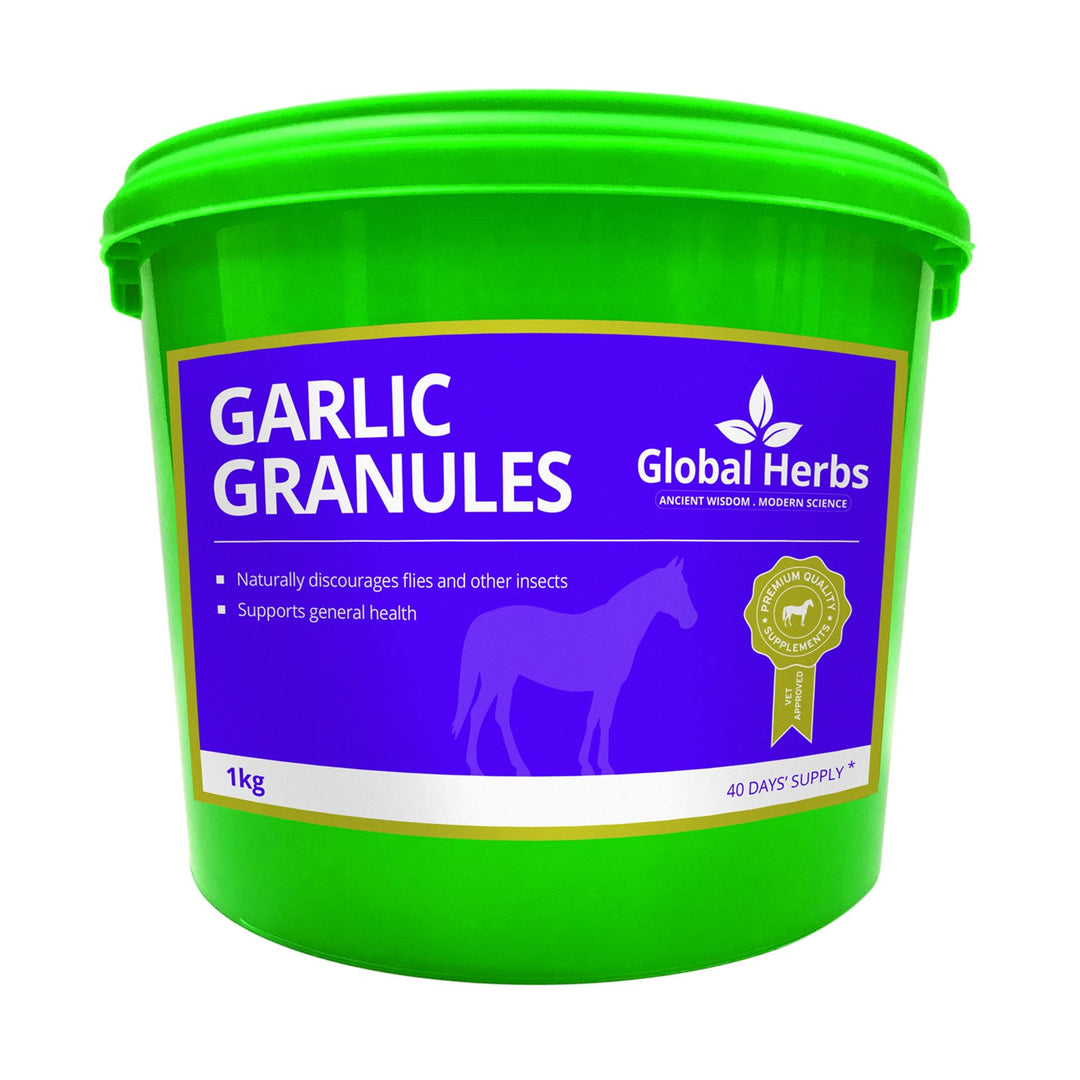 Global Herbs Garlic Granules 1 Kg