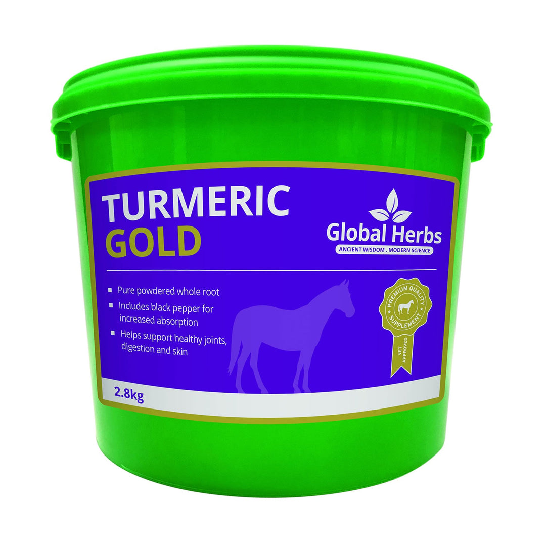 Global Herbs Turmeric Gold 2.8 Kg