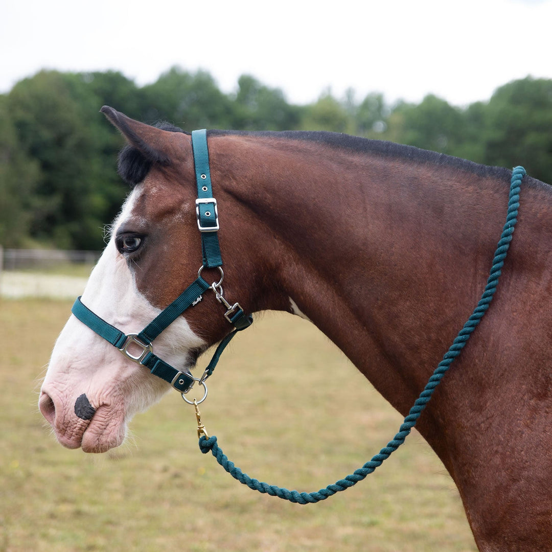 GALLOP PREMIUM PADDED HEADCOLLAR WITH LEAD ROPE GREEN