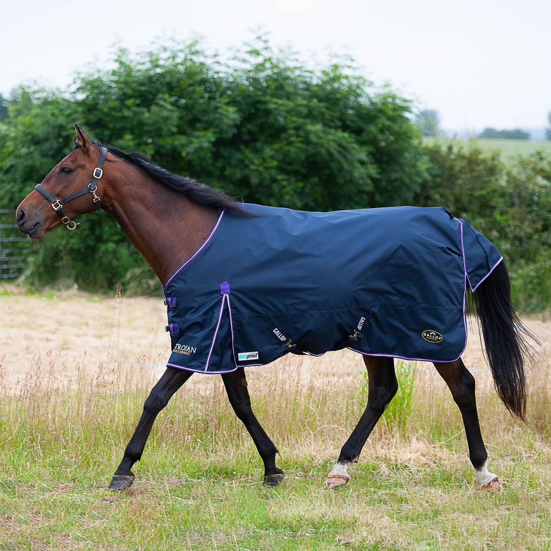 Gallop Ponie/Trojan Duraproof 5-Point Std Lightweight Turnout Navy