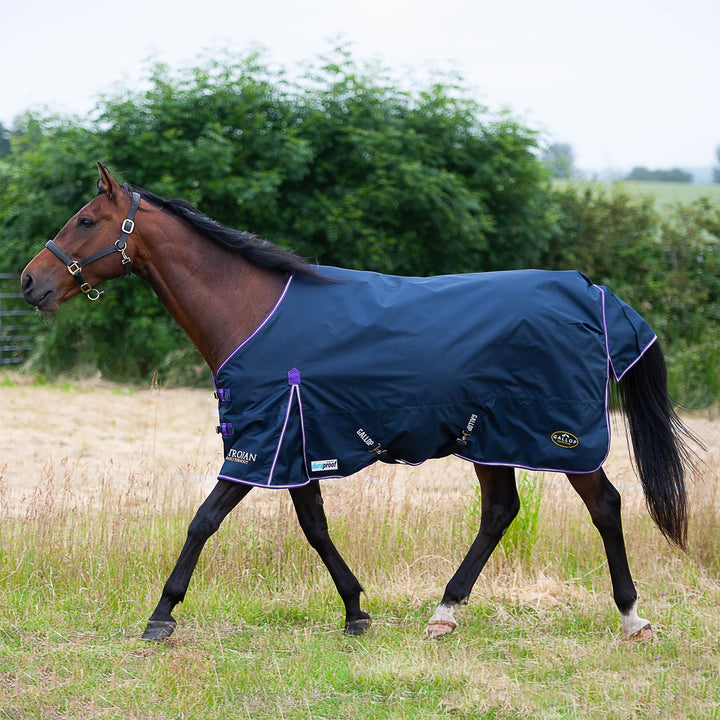 Gallop Ponie/Trojan Duraproof 5-Point Std Lightweight Turnout Navy