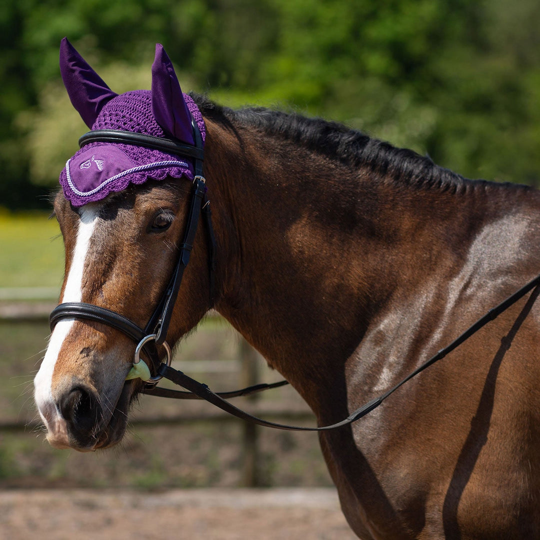 GALLOP CLASSIC FLY VEIL PURPLE