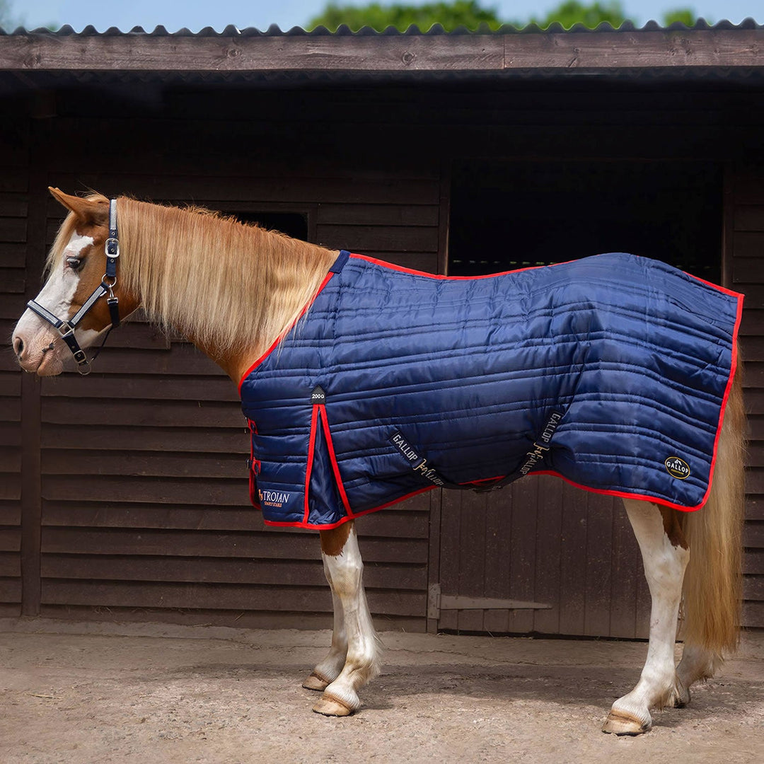 GALLOP TROJAN 200G STABLE RUG NAVY