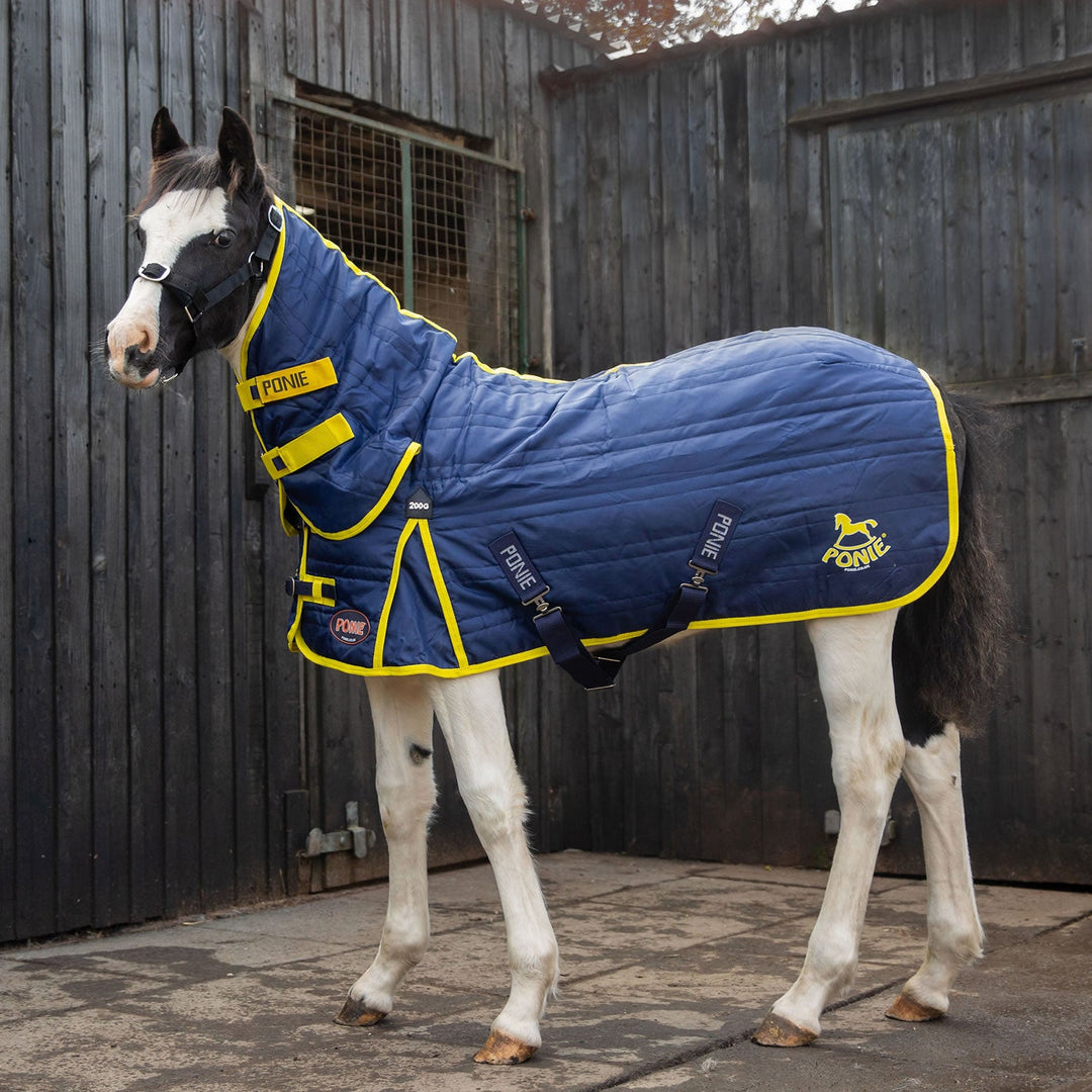 GALLOP PONIE 200G STABLE RUG COMBO NAVY