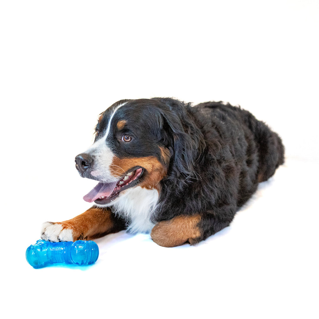 Guru No Begging Bone - Medium