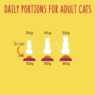 Go-Cat Adult Cat Food Tuna Herring and Veg 320G
