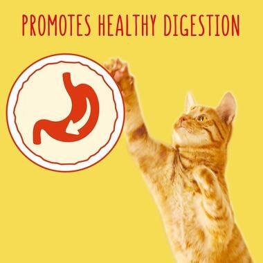 Go-Cat Adult Cat Food Tuna Herring and Veg 320G