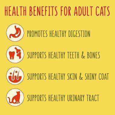 Go-Cat Adult Cat Food Chicken and Duck 320G