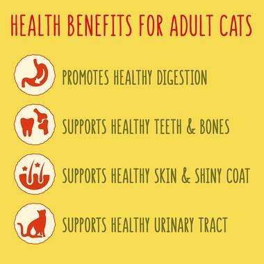 Go-Cat Adult Cat Food Turkey Chicken And Veg 750G - Ormskirk Pets