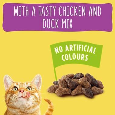 Go-Cat Adult Cat Food Chicken and Duck 320G