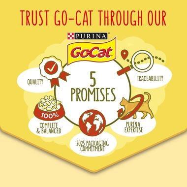 Go-Cat Junior Chicken, Milk & Veg Dry Cat Food 750g - Ormskirk Pets