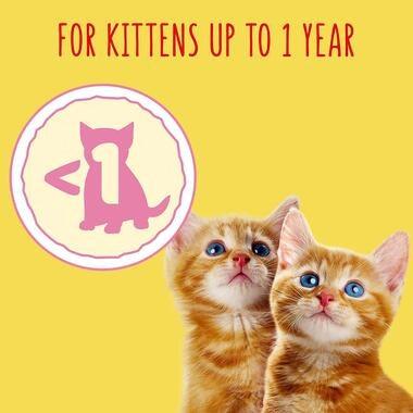 Go-Cat Junior Chicken, Milk &amp; Veg Dry Cat Food 750g - Ormskirk Pets