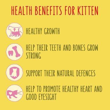 Go-Cat Junior Chicken, Milk &amp; Veg Dry Cat Food 750g - Ormskirk Pets