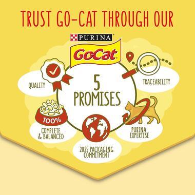 Go-Cat Senior Cat Food Chicken & Veg 750G - Ormskirk Pets