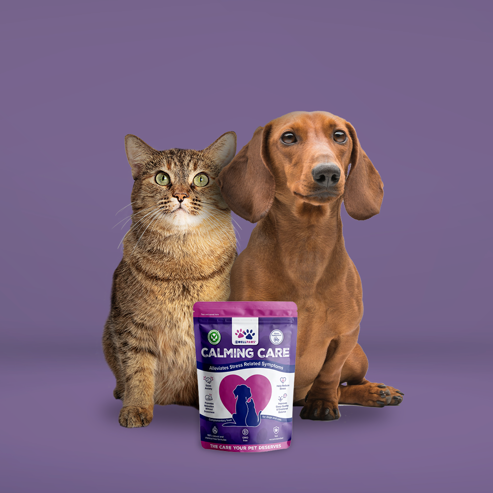 WellPaws Calming Care Chewable 180g