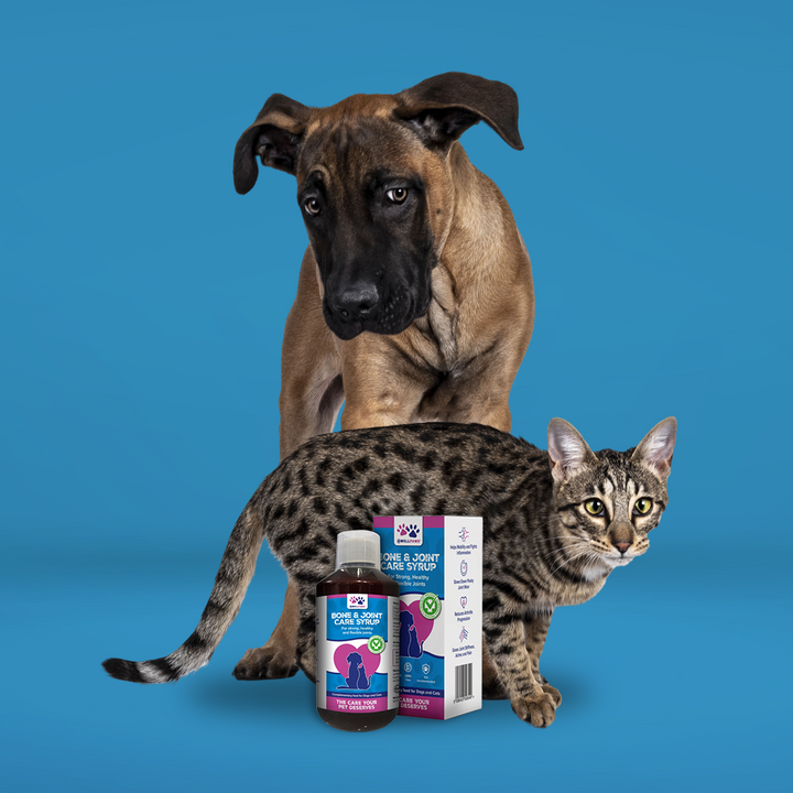 WellPaws Bone &amp; Joint Care Syrup 300ml