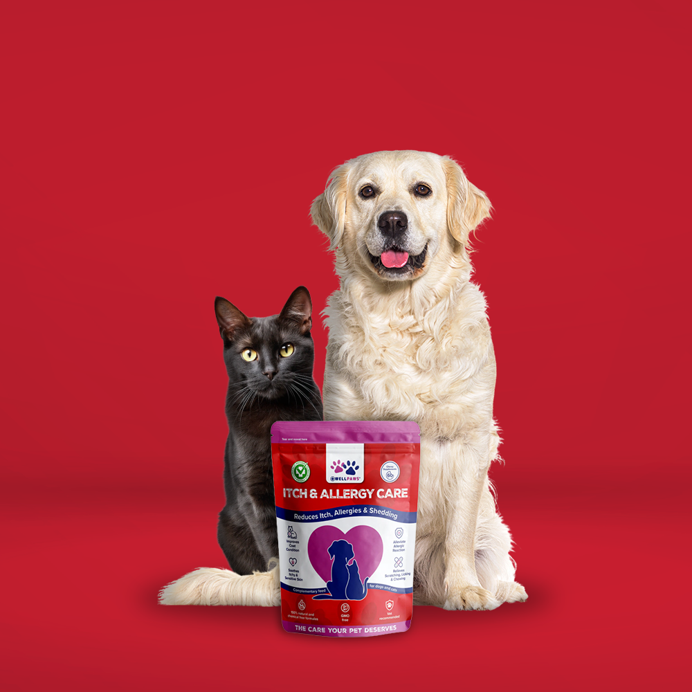 WellPaws Itch & Allergy Care Chewable 180g