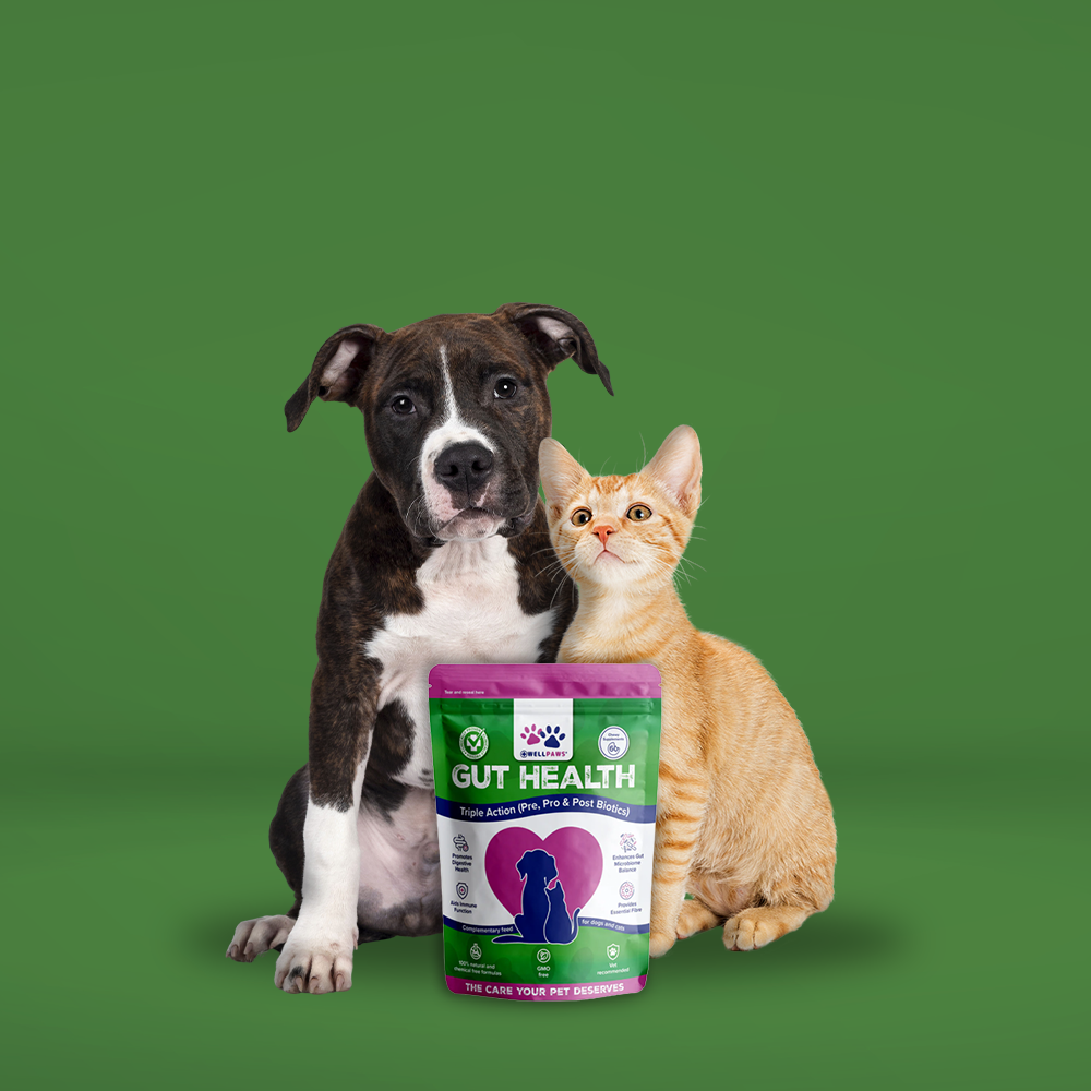 WellPaws Gut Health Triple Action Chewable 180g