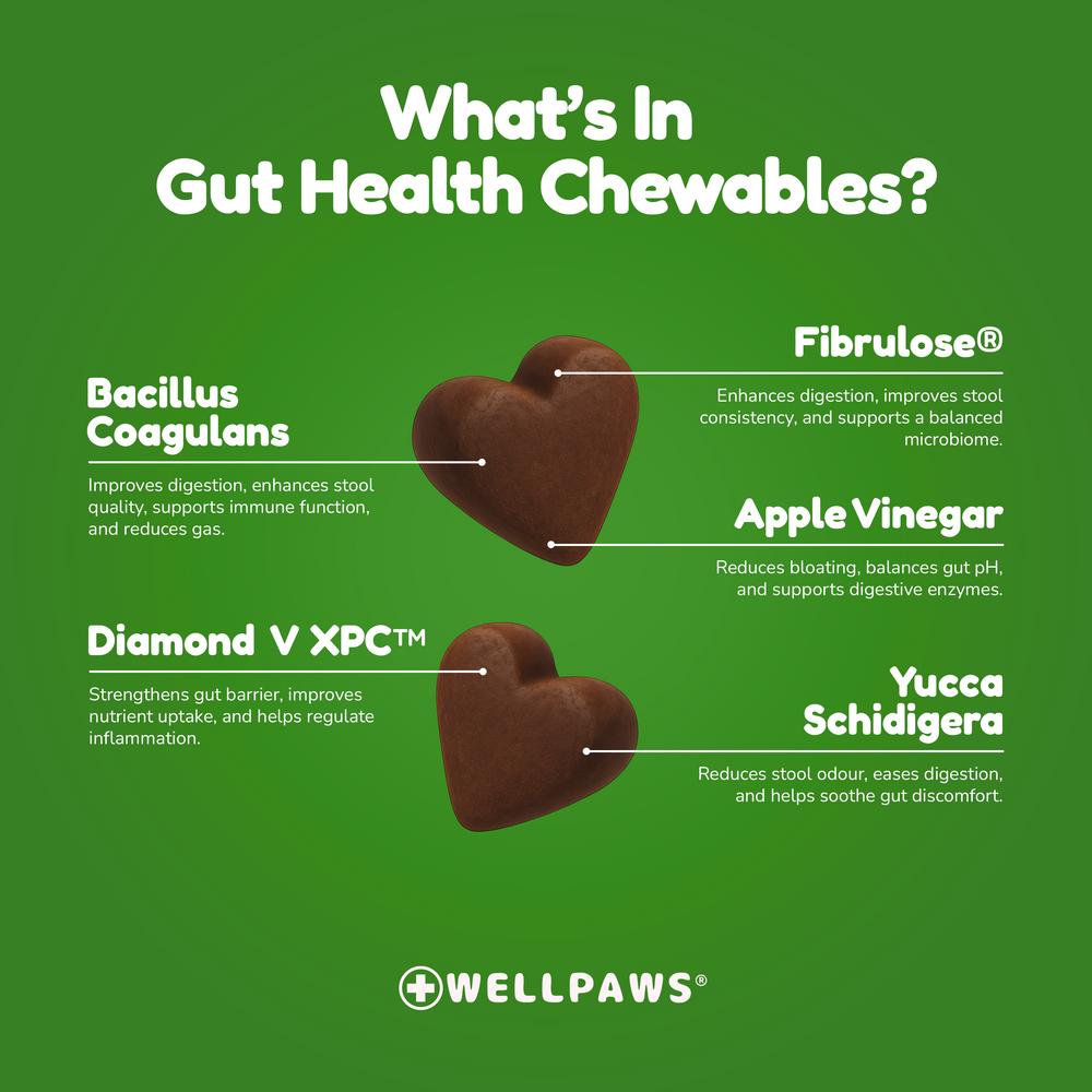 WellPaws Gut Health Triple Action Chewable 180g