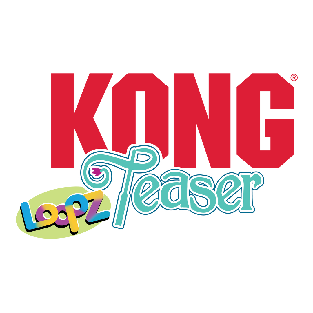 KONG Holiday Teaser Loopz