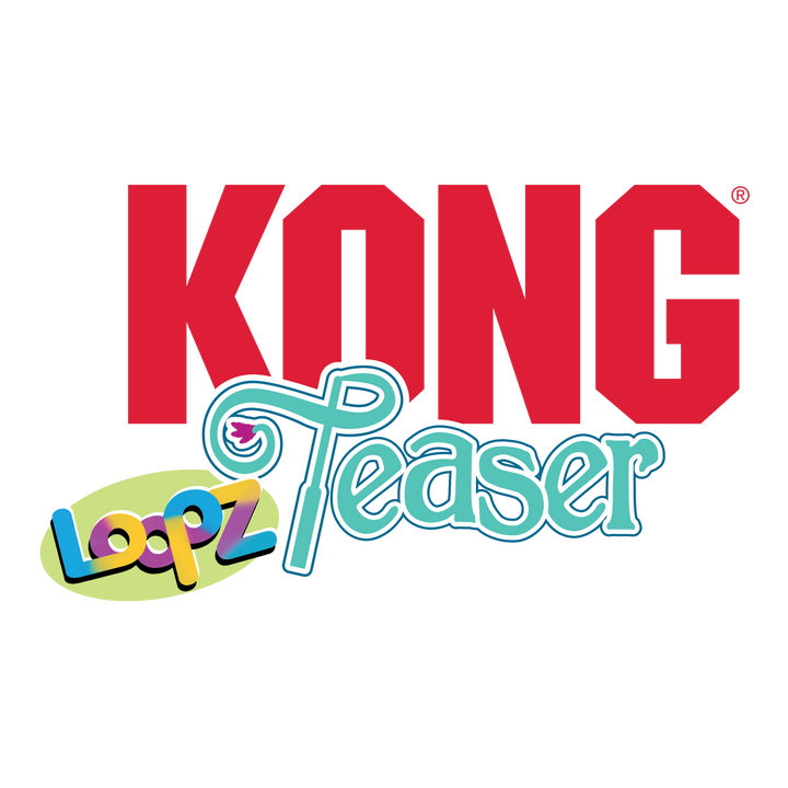 KONG Holiday Teaser Loopz