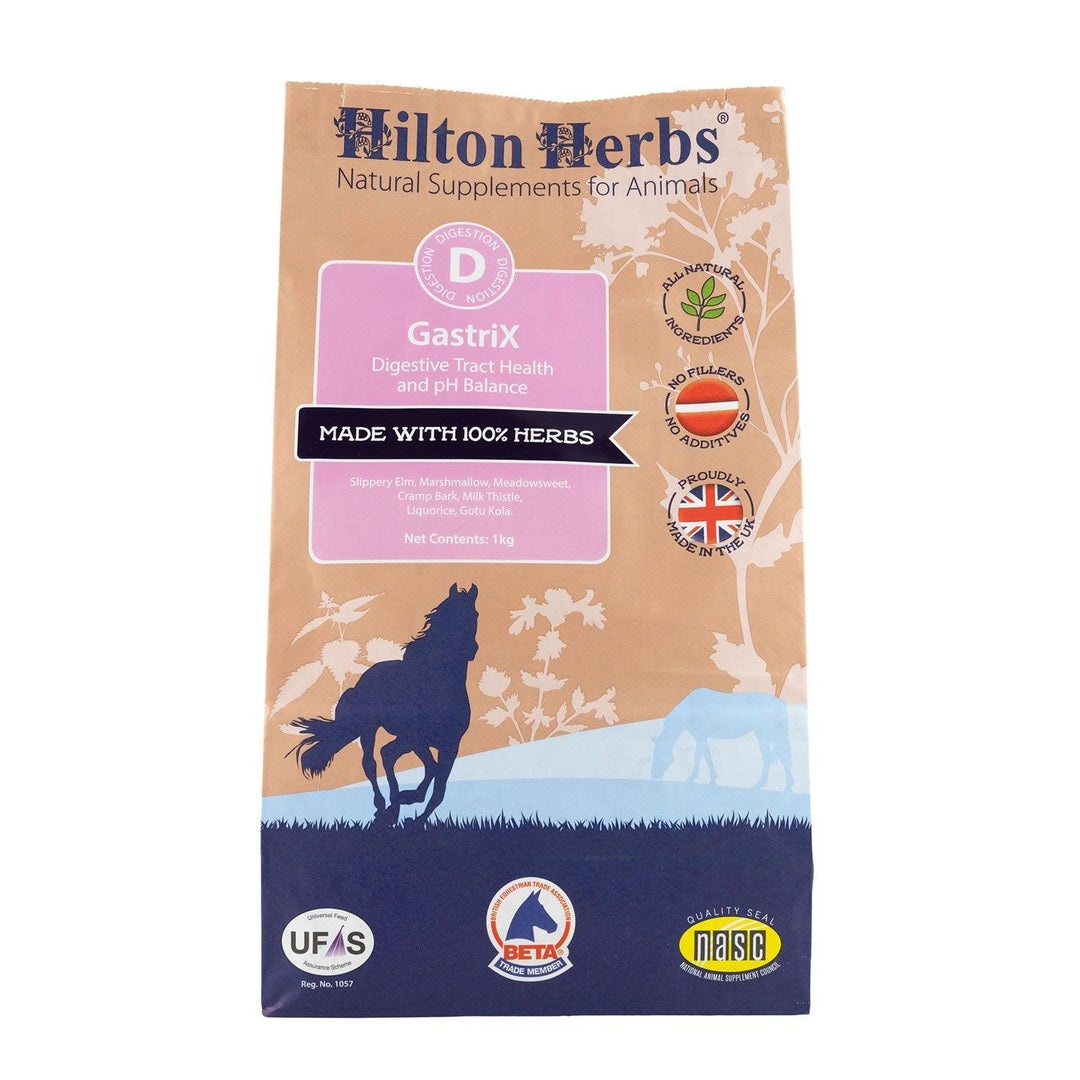 Hilton Herbs Gastri X 1Kg