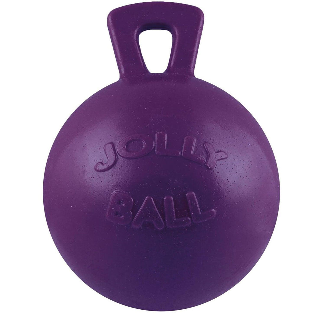 Horsemen's Pride Jolly Ball 10" Purple