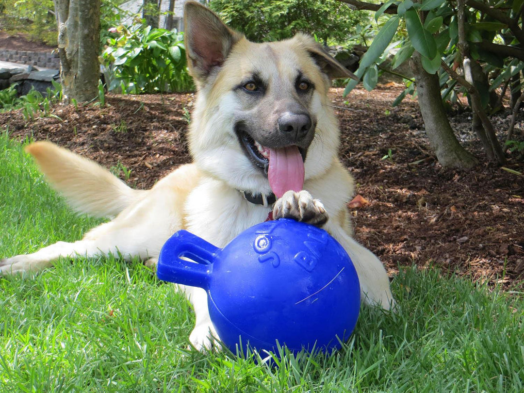 Jolly Pets Tug-N-Toss 4.5" Blue