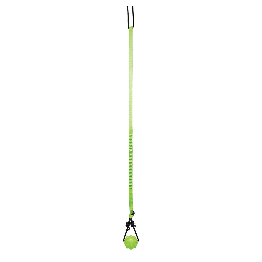 Jolly Pets Tree Tugger,Green