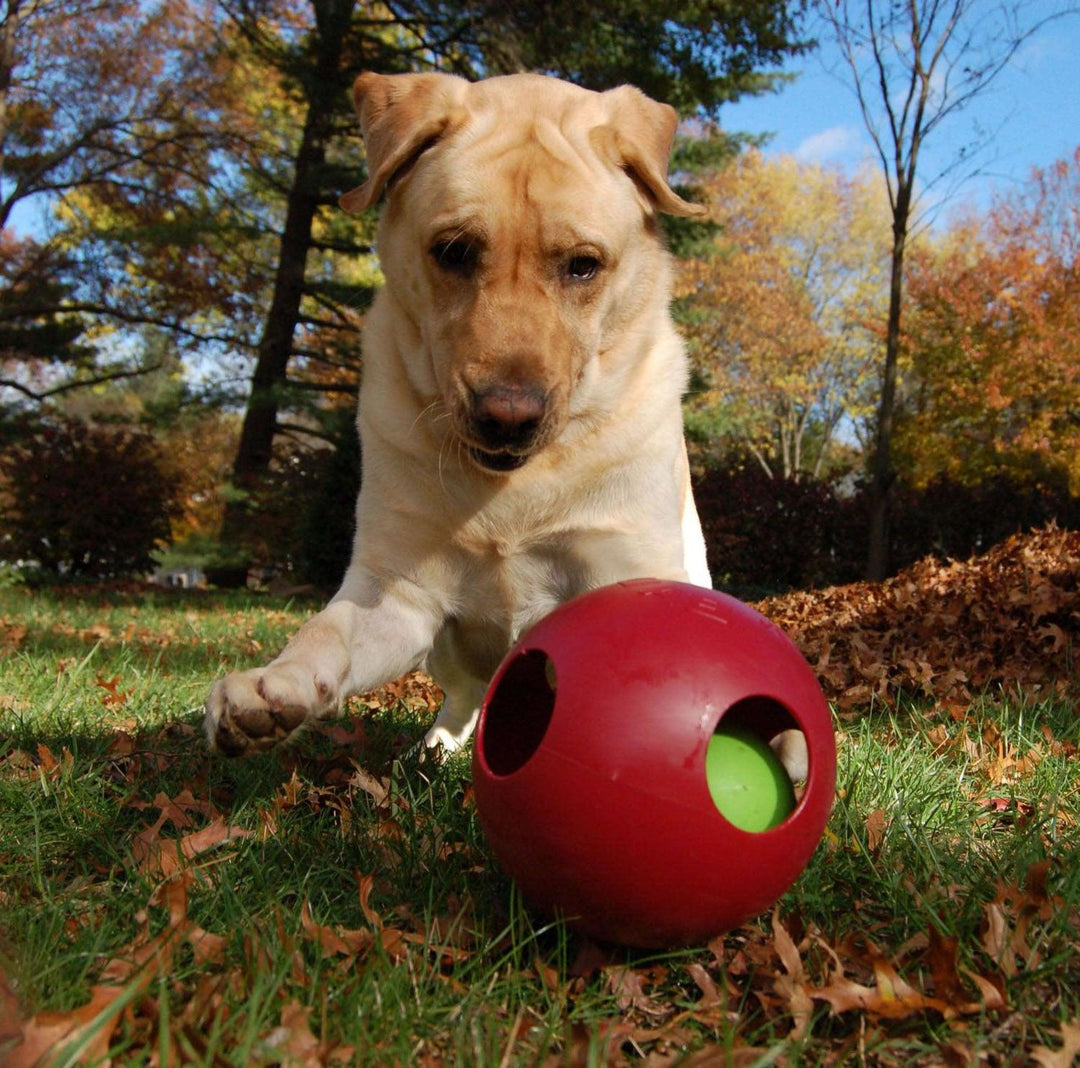 Jolly Pets Teaser Ball 6" Red