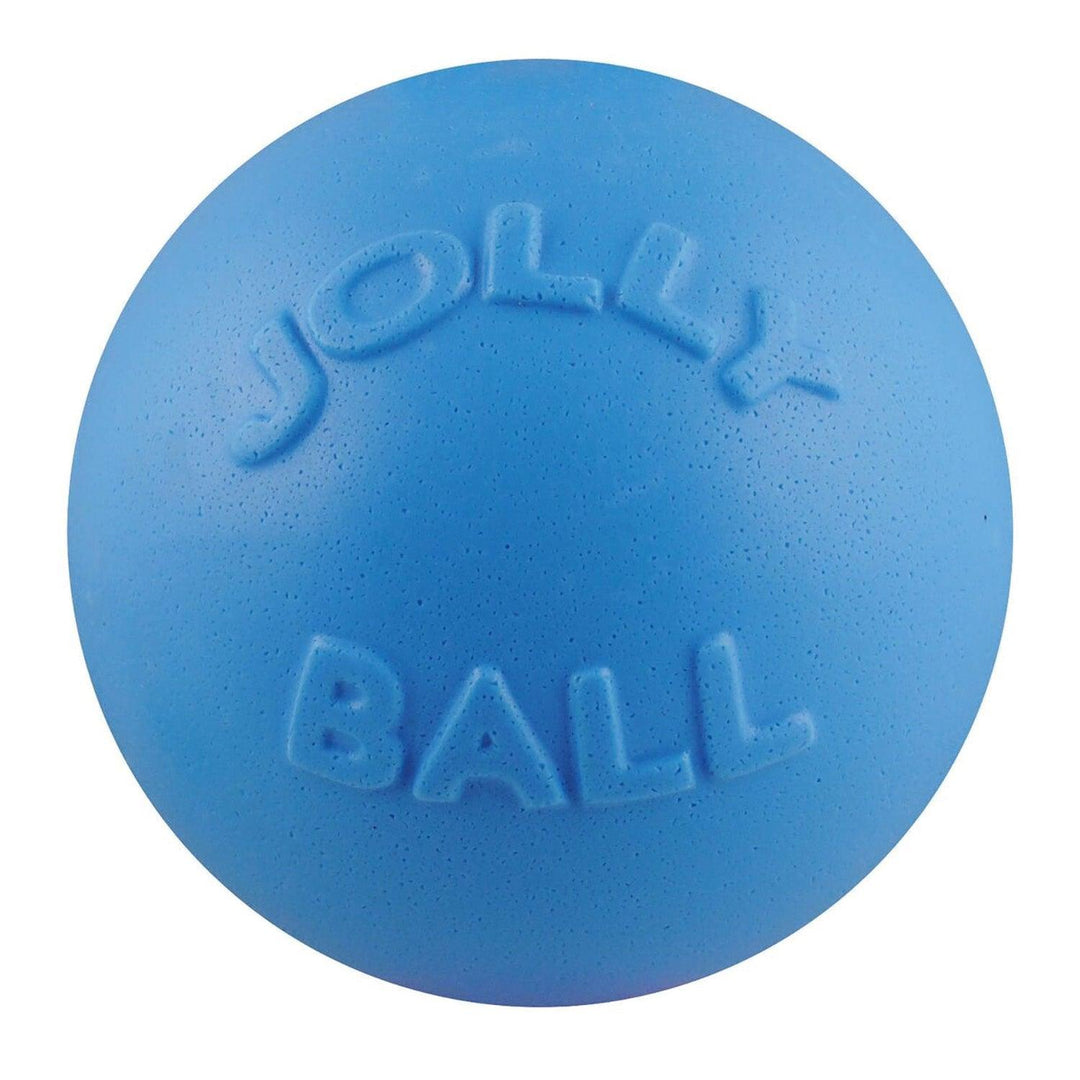Jolly Pets Bounce-N-Play 6" Blueberry
