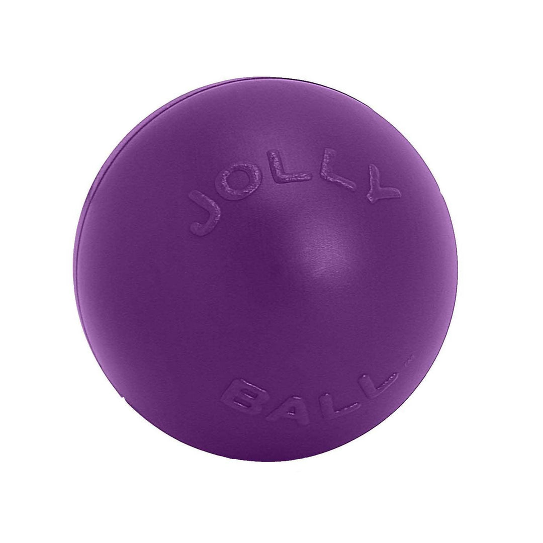 Jolly Pets Push-N-Play 10" Purple
