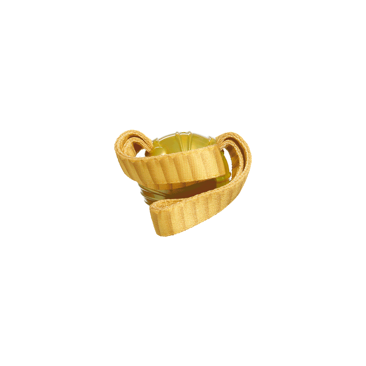 Bark Harry Potter The Golden Snitch