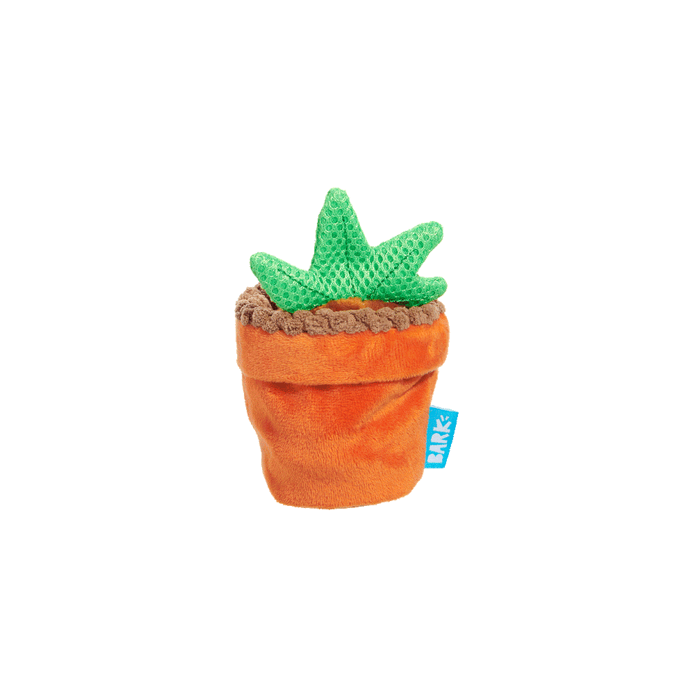 Bark Harry Potter Mandrake