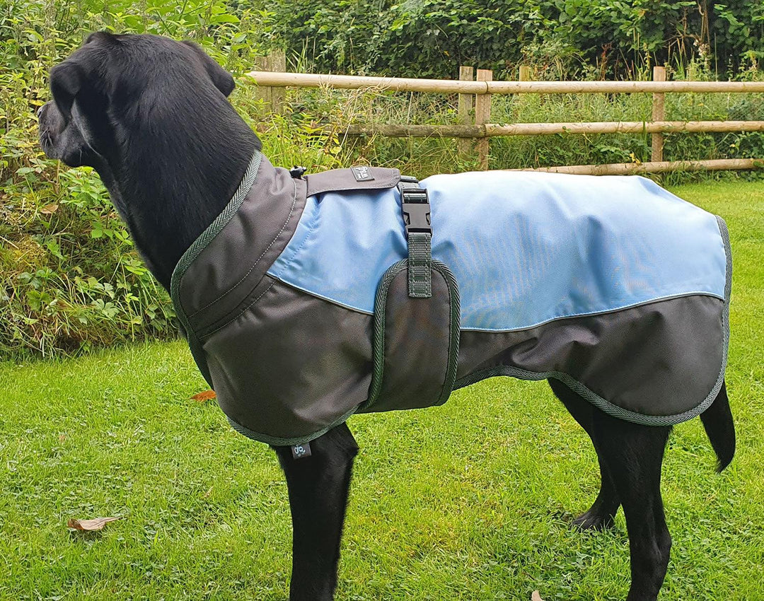 Henry Wag Waterproof Dog Coat X-Small (35Cm) Blue/Grey