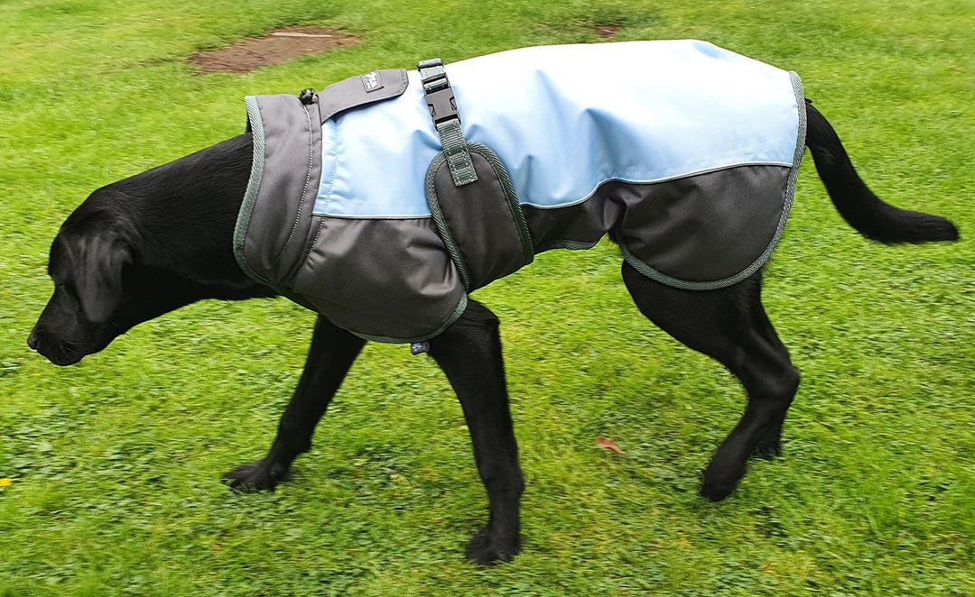 Henry Wag Waterproof Dog Coat Small (40Cm) Blue/Grey