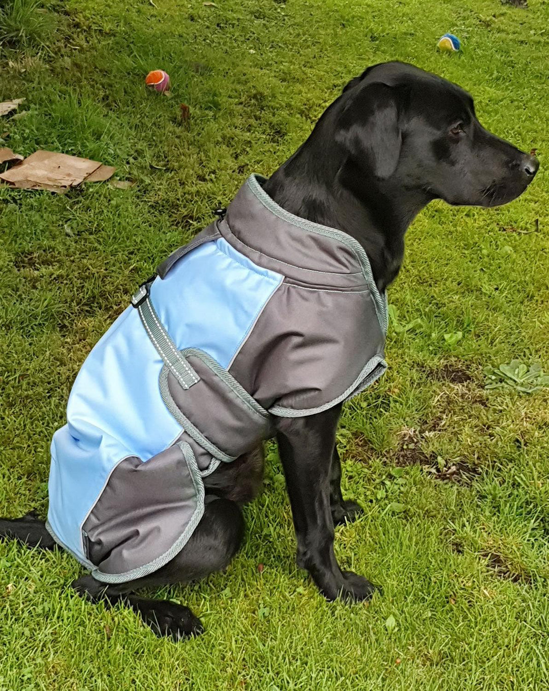 Henry Wag Waterproof Dog Coat Medium (45Cm) Blue/Grey