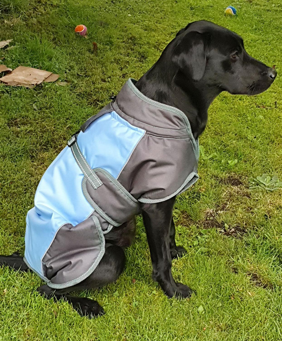 Henry Wag Waterproof Dog Coat 2Xlarge (75Cm) Blue/Grey