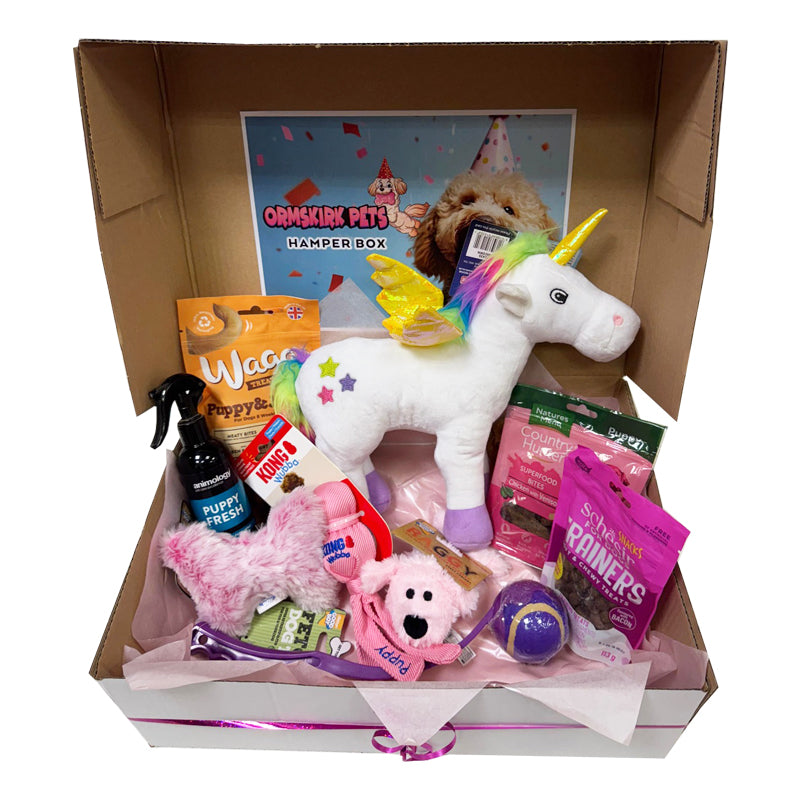 New Puppy Hamper Box for Girl